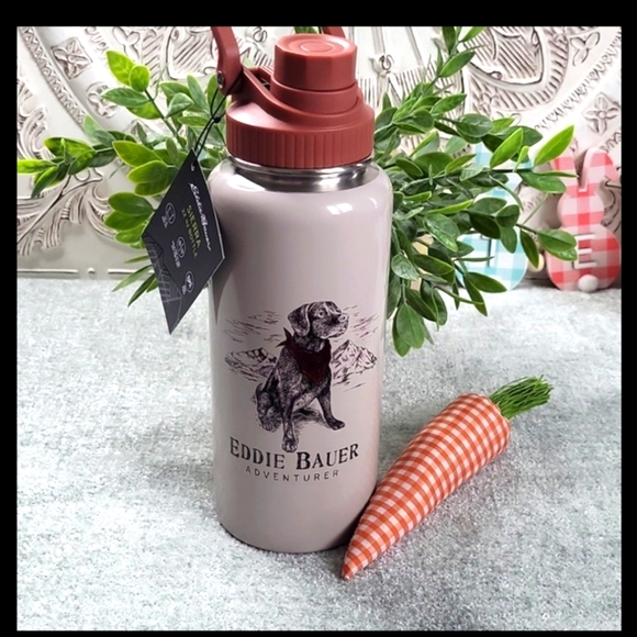 NWT: Eddie Bauer Sierra 32 Oz. Metal Drink Bottle - Picture 1 of 9
